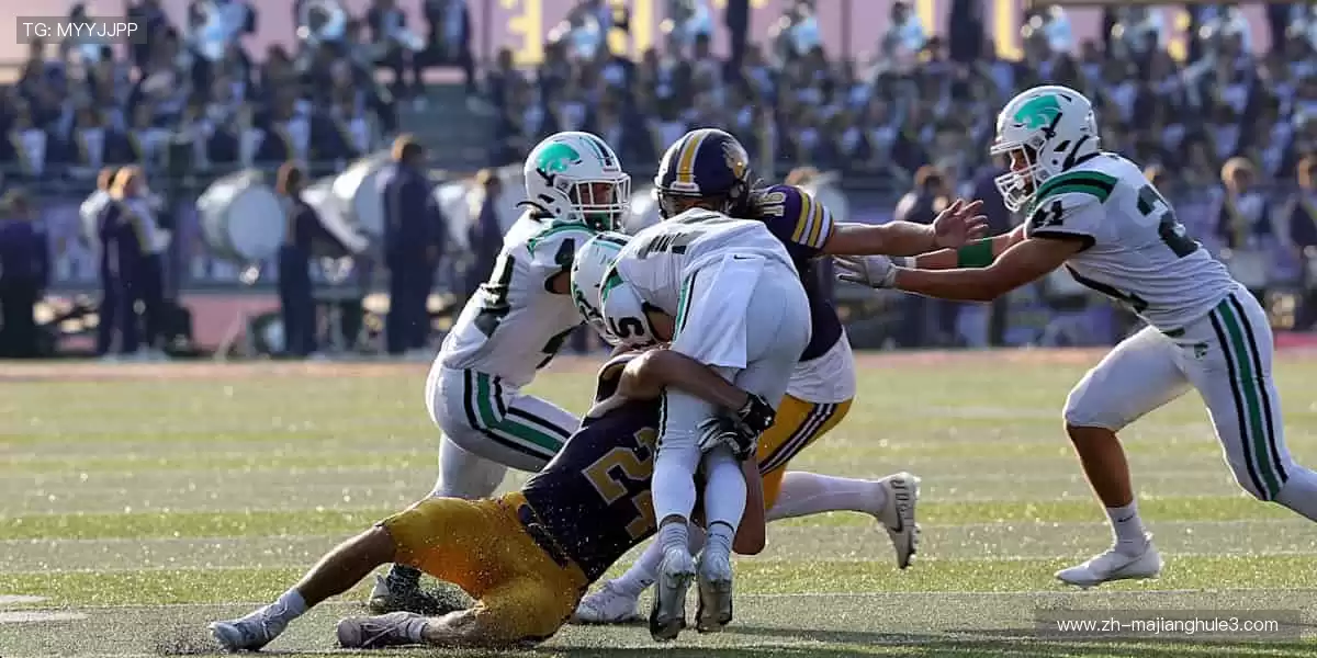 🏆 从看台到赛场，你的每一步都是传奇！🏃♂️